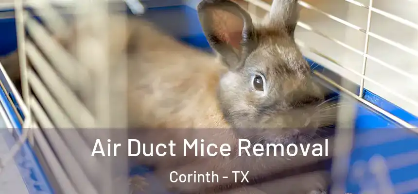 Air Duct Mice Removal Corinth - TX