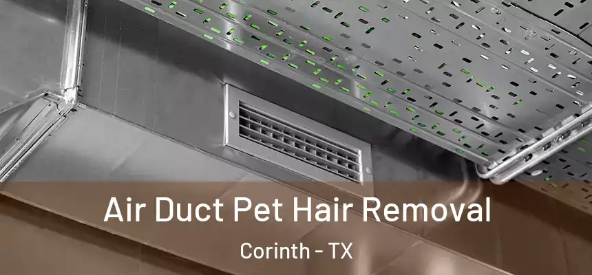 Air Duct Pet Hair Removal Corinth - TX