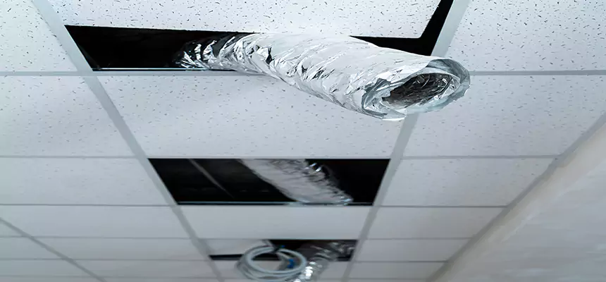 Our Air Duct Pet Hair Removal Services in Corinth, TX