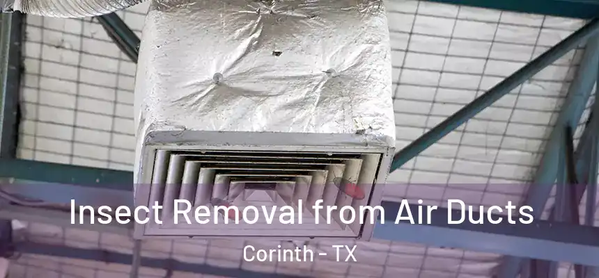  Insect Removal from Air Ducts Corinth - TX