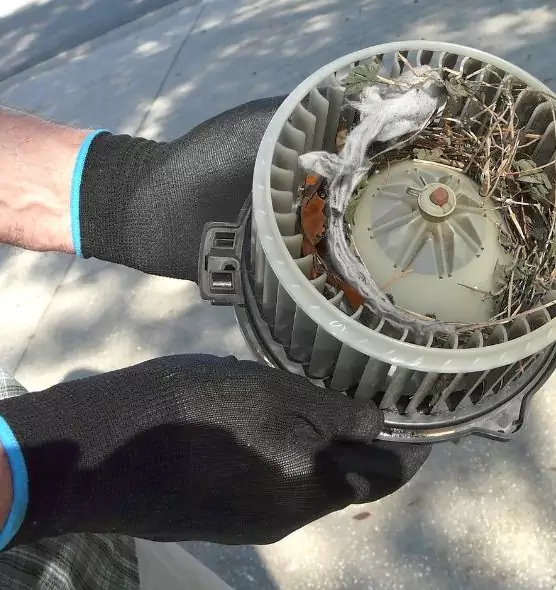 About Air Duct Mice Removal in Corinth, TX