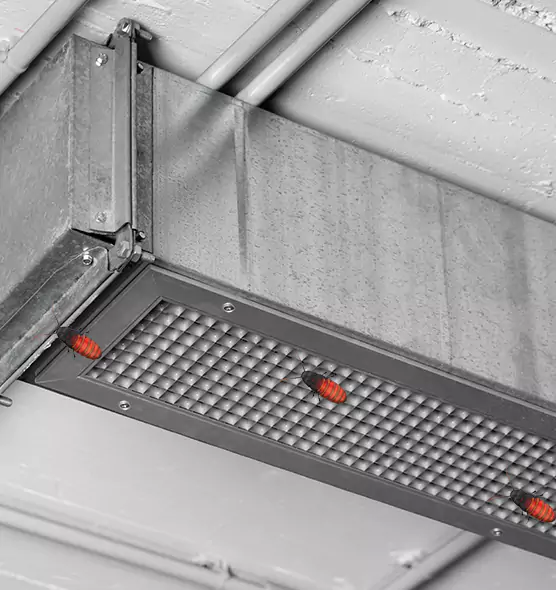Affordable Insect Removal from Air Ducts in Corinth, TX