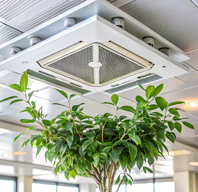 Why Homeowners & Businesses Trust Us in Corinth, TX?